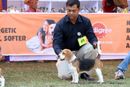 Orissa Dog Show | beagle,ex-49,sw-68,