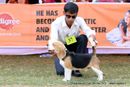 Orissa Dog Show | beagle,ex-37,sw-68,