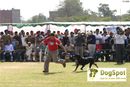 Patiala Dog Show 2009 | 