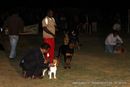 Patiala Kennel Club 2011 | lineup,sw-32,