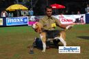 Pune 2010 | Beagle,