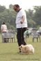 Rohilkhand Dog Show 2013 | ex-6,pomeranian,sw-95,