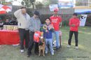 Royal Kennel Club Of India Dog Show 26 Feb 2012 | royal kennel club of india dog show 26 feb 2012