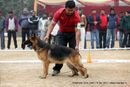 Shepherd Club Delhi | ex-33,sw-20,