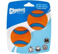 Chuck It Chuck It Medium Balls