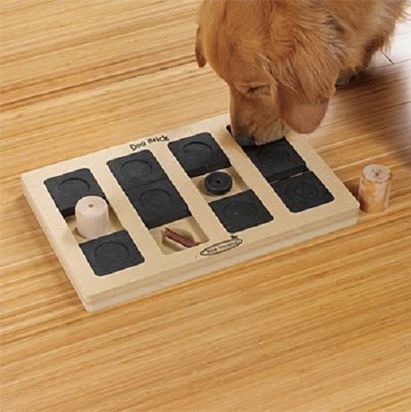 dog games to keep them busy