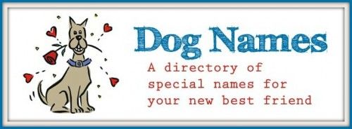 dog-namesWEBframe