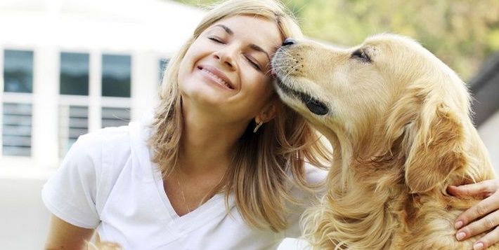13 Dog Breeds That Are Overwhelmingly Affectionate  