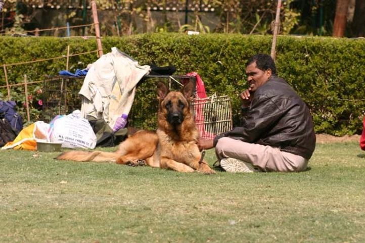 Agra Dog Show, Taj Kennel Club, Agra Dog Show- 3 Feb 2008, DogSpot.in