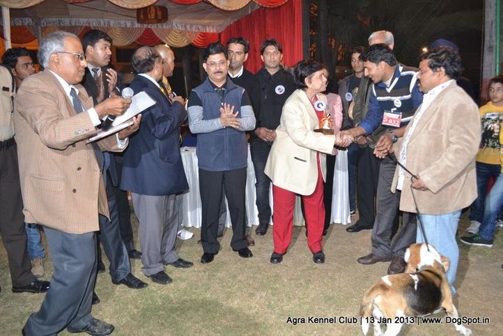 sw-78,, 2013 Agra Dog Show, DogSpot.in