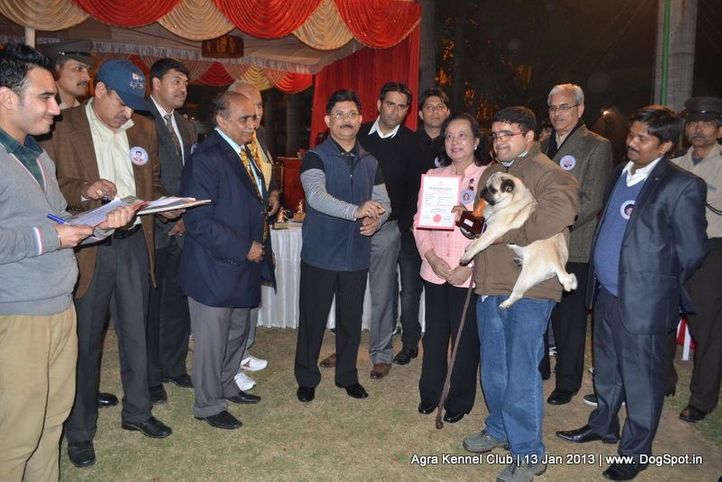 line up,sw-78,, 2013 Agra Dog Show, DogSpot.in