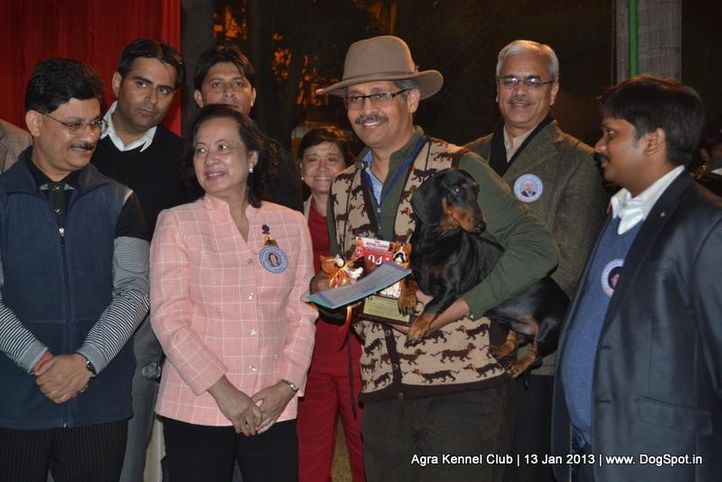 sw-78,, 2013 Agra Dog Show, DogSpot.in