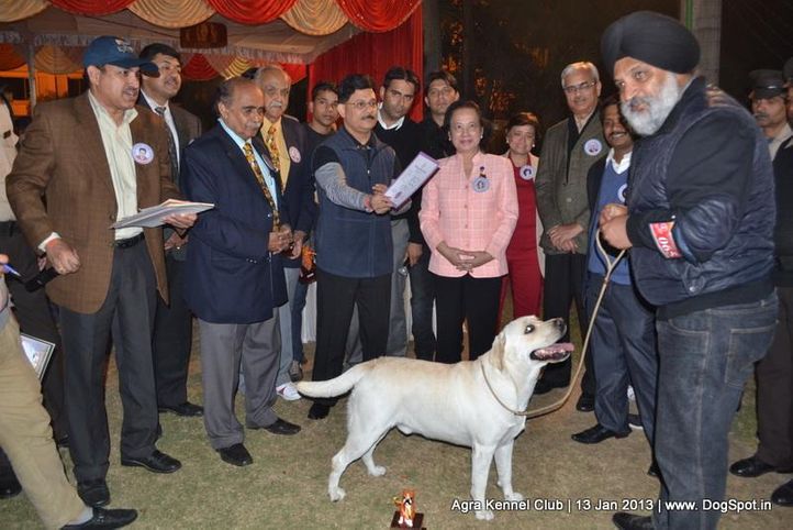 line up,sw-78,, 2013 Agra Dog Show, DogSpot.in
