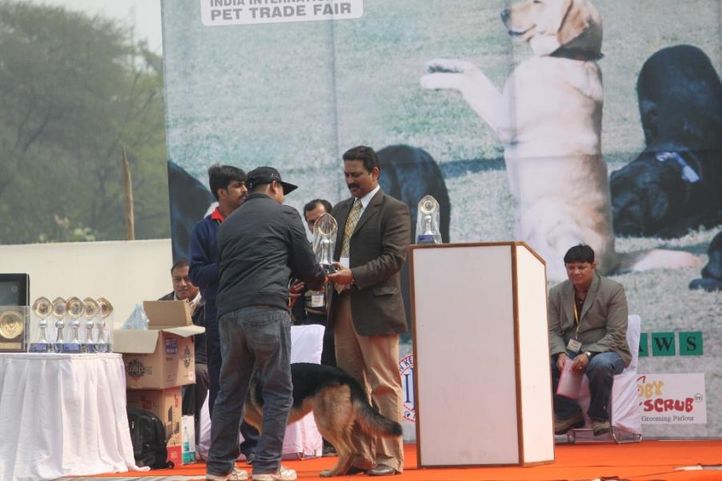 Dog Show,Obedience Show,, 4th IIPTF 2010, DogSpot.in