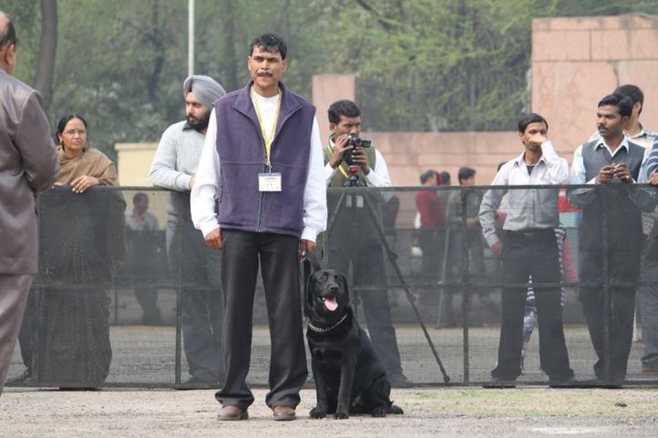 Dog Show,Obedience Show,, 4th IIPTF 2010, DogSpot.in