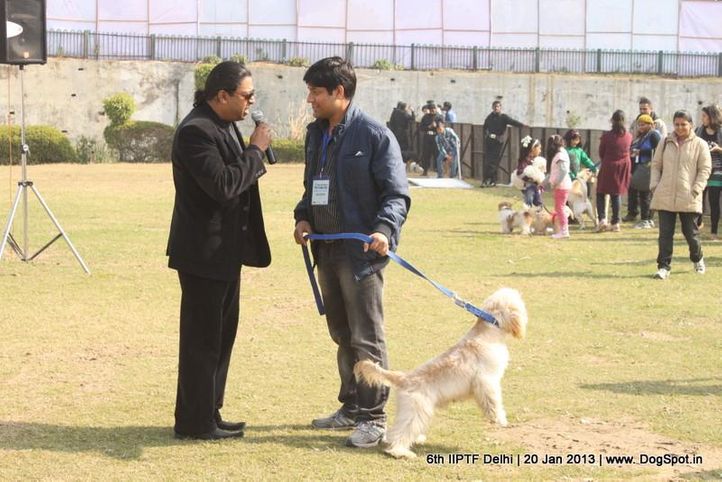 6th iiptf delhi,fun and games,, 6th IIPTF Delhi , DogSpot.in