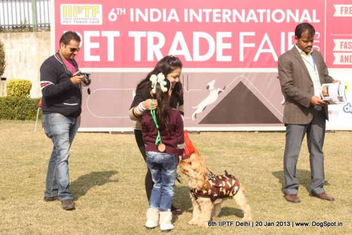 6th iiptf delhi,fun and games,, 6th IIPTF Delhi , DogSpot.in
