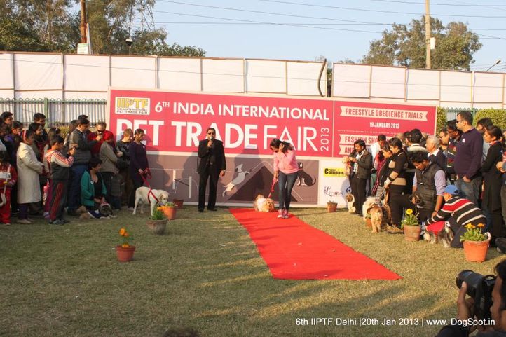 6th iiptf delhi,fashion show,, 6th IIPTF Delhi , DogSpot.in