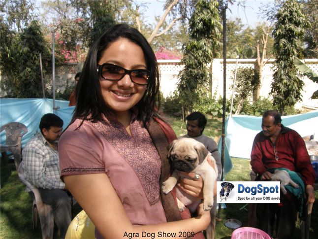 Ground,, Agra Dog Show 2008-09, DogSpot.in