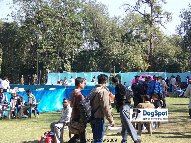 Ground,, Agra Dog Show 2008-09, DogSpot.in