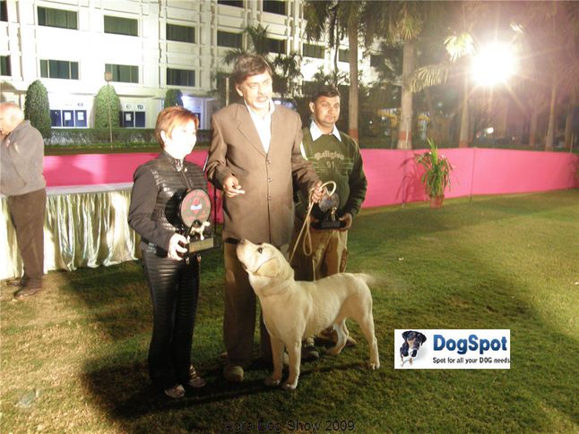 Best in show,BIS,Line up,, Agra Dog Show 2008-09, DogSpot.in
