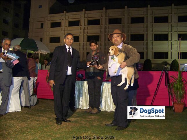 Best in show,BIS,Line up,, Agra Dog Show 2008-09, DogSpot.in