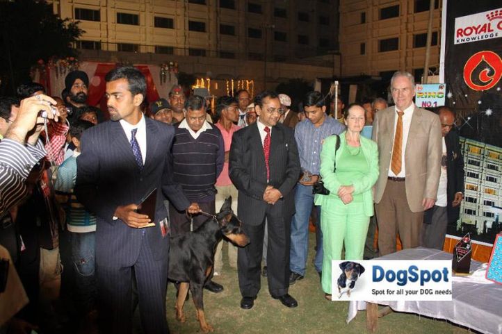 Indigo Dancer,Lineup,, Agra Dog Show 2010, DogSpot.in