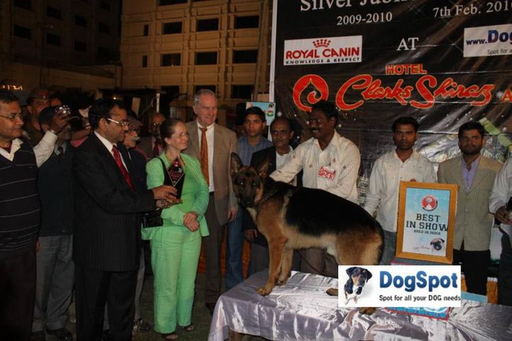 Lineup,Zarno,, Agra Dog Show 2010, DogSpot.in