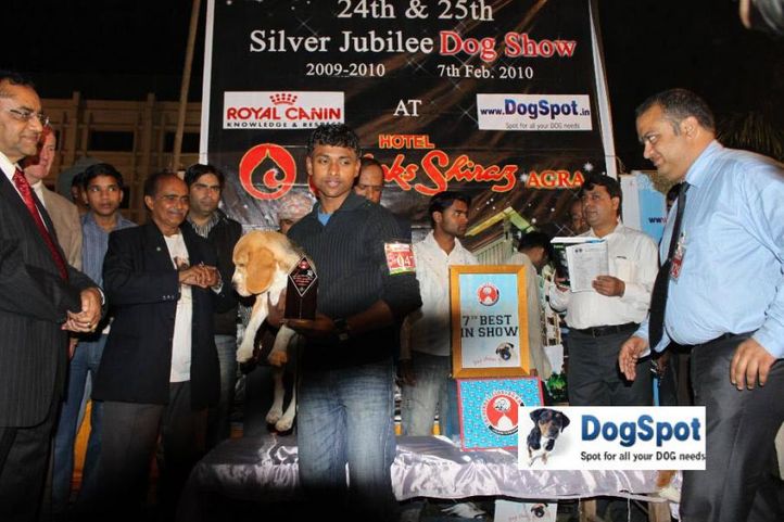 Lineup,, Agra Dog Show 2010, DogSpot.in