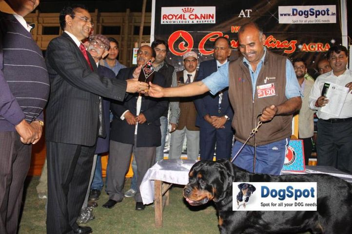 Carlos,Lineup,, Agra Dog Show 2010, DogSpot.in