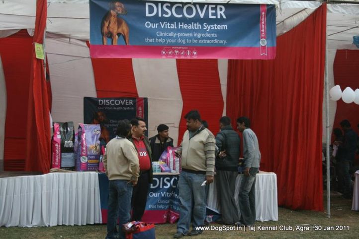 ground,sw-31,, Agra Dog Show 2011, DogSpot.in