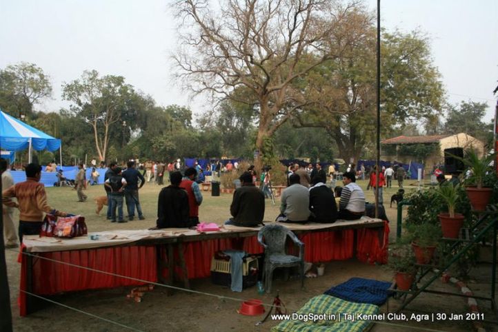 ground,sw-31,, Agra Dog Show 2011, DogSpot.in