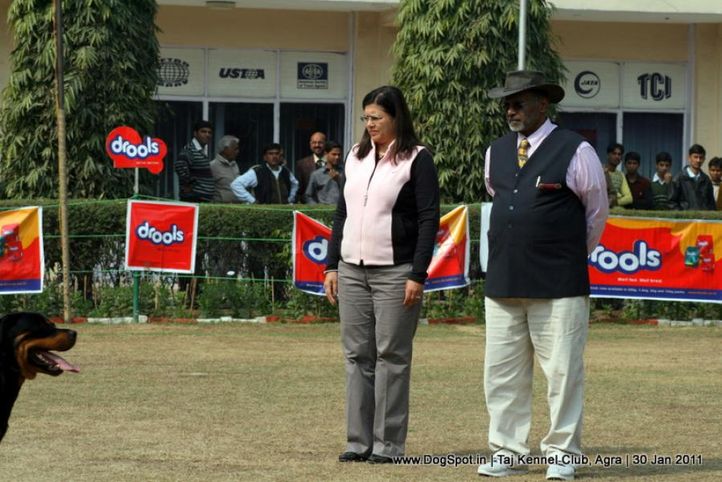 judges,sw-31,, Agra Dog Show 2011, DogSpot.in