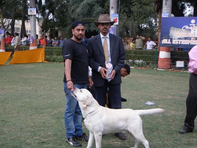 , Agra Show, DogSpot.in