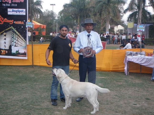 , Agra Show, DogSpot.in