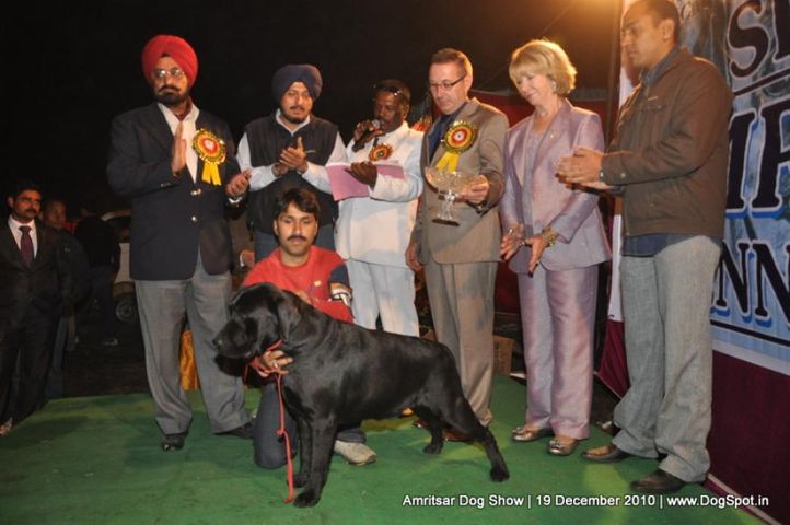 lineup,, Amritsar Dog Show 2010, DogSpot.in