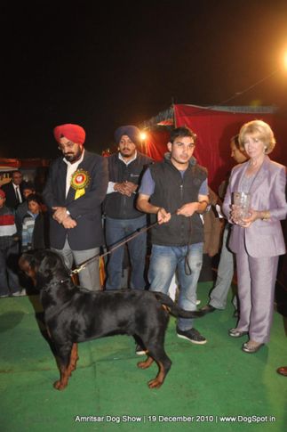 lineup,, Amritsar Dog Show 2010, DogSpot.in