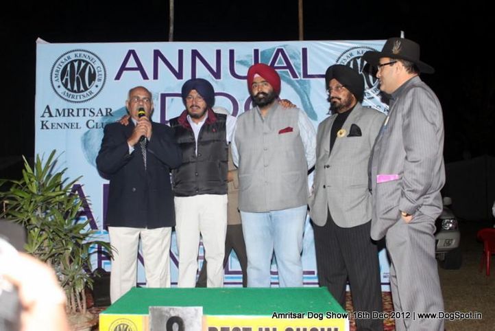 line up,sw-65,, Amritsar Dog Show 2012, DogSpot.in