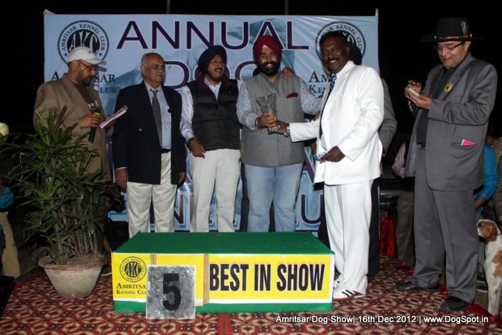 line up,sw-65,, Amritsar Dog Show 2012, DogSpot.in