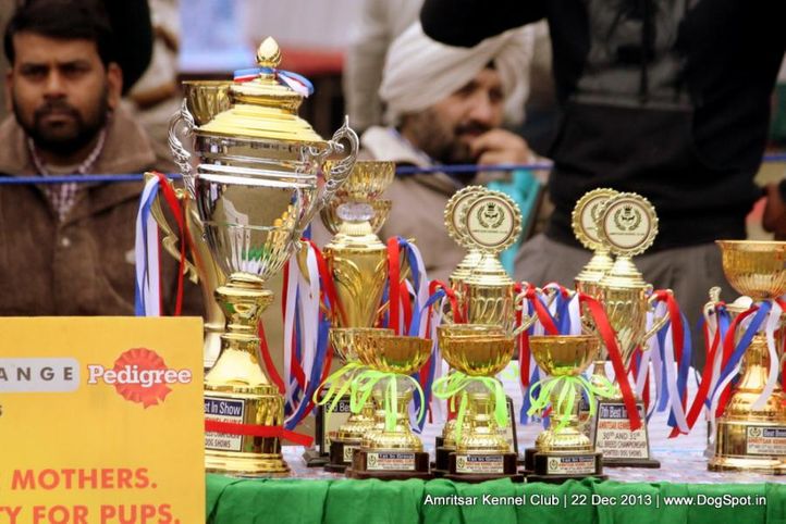 sw-100,trophy,, Amritsar Dog Show 2013, DogSpot.in