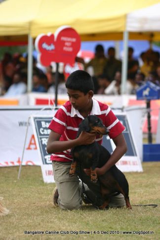handling children,sw-12,, Bangalore 2010, DogSpot.in