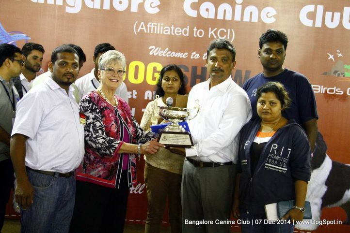 best in show,sw-138,, Bangalore Canine Club 2014, DogSpot.in
