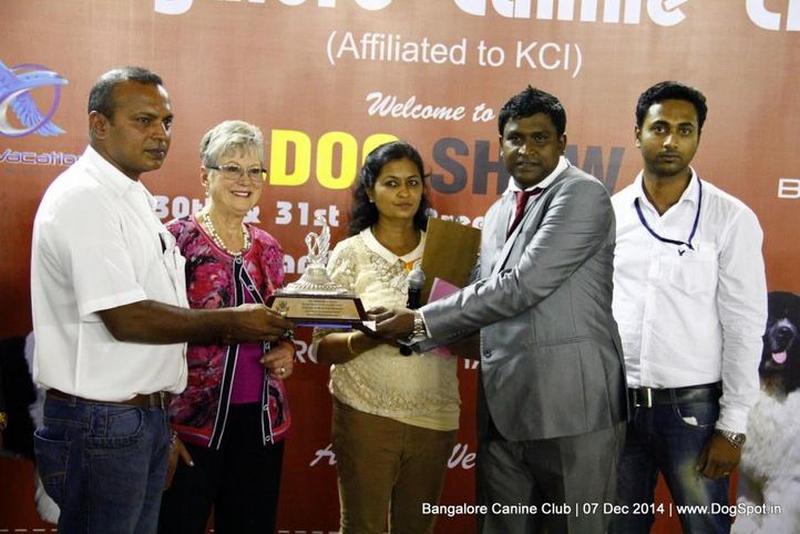 best in show,sw-138,, Bangalore Canine Club 2014, DogSpot.in