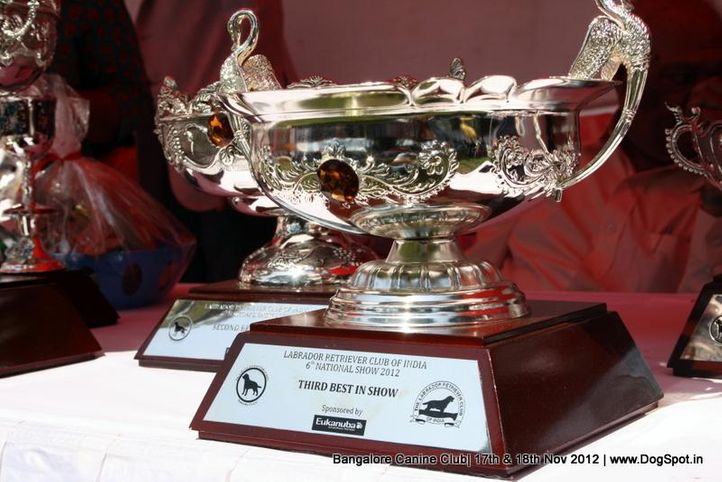 show trophy,sw-69,, Bangalore Dog Show 2012 , DogSpot.in