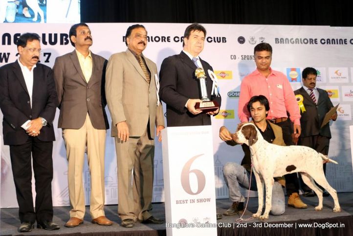 fci show lineup,lineup,sw-202,, Bangalore Dog Show 2017, DogSpot.in