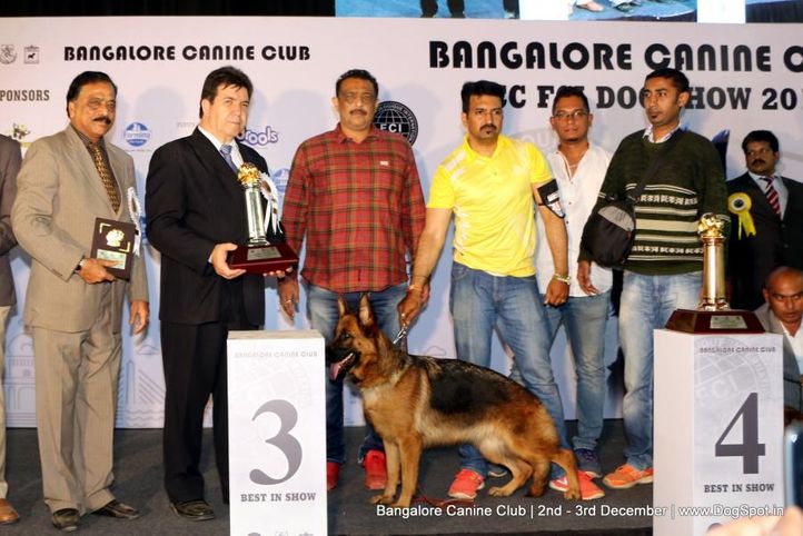 fci show lineup,lineup,sw-202,, Bangalore Dog Show 2017, DogSpot.in
