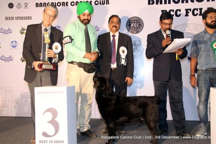 fci show lineup 2,sw-202,, Bangalore Dog Show 2017, DogSpot.in