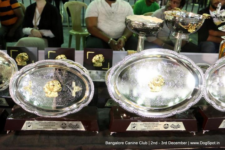 sw-202,trophies,, Bangalore Dog Show 2017, DogSpot.in