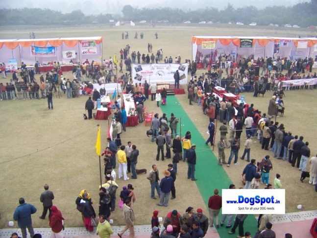 committee,ground,, Bareilly Dog Show 2010, DogSpot.in