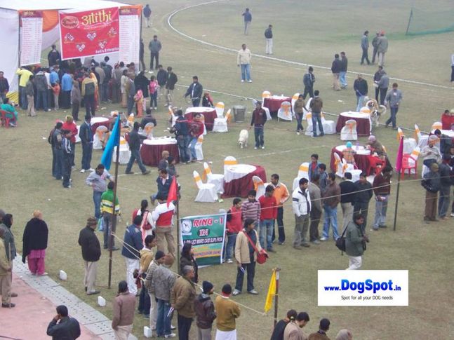 committee,ground,, Bareilly Dog Show 2010, DogSpot.in